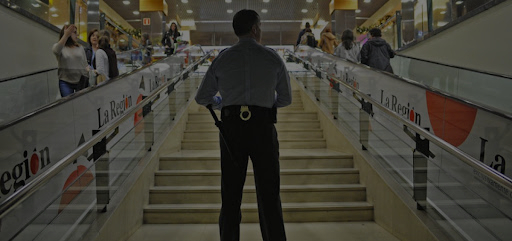 Seguridad Comercial
